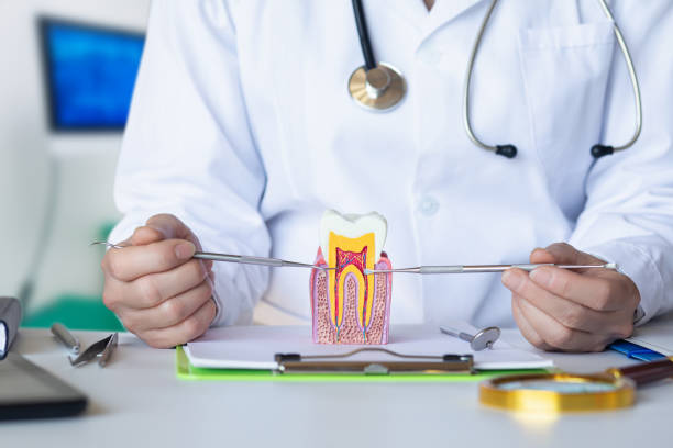 Best Emergency Denture Repair in Indian Lake, TX